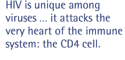 HIV is unique among viruses  it attacks the very heart of the immune system: the CD4 cell