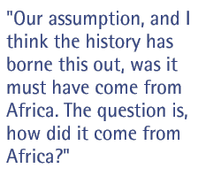 Our assumption, and I think the history has borne this out, was it must have come from Africa. The question is, how did it come from Africa?