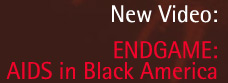 watch endgame:aids in black america