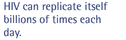HIV can replicate itself as many as a trillion times a day.