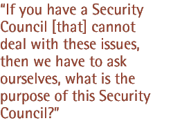 If you have a Security Council [that] cannot deal with these issues, then we have to ask ourselves, what is the purpose of this Security Council?