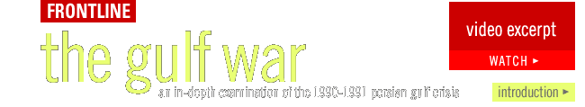 FRONTLINE's the gulf war: an in-depth examination of the 1990-1991 persian gulf crisis