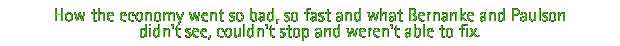 Investigating how the economy went so bad so fast and what Bernanke and Paulson didn't see, couldn't stop and weren't able to fix.