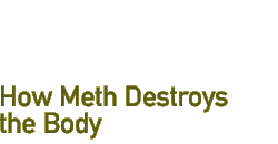 How Meth Destroys the Body