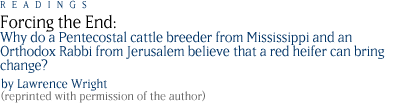 FORCING THE END: Why do a Pentecostal cattle breeder from Mississippi and an Orthodox rabbi from Jerusalem believe that a red heifer can change the world?  by  Lawrence Wright  [Reprinted with permission of the author.]