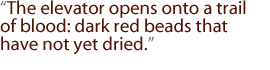 The elevator opens onto a trail of blood: dark red beads that have not yet dried.