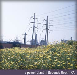 a power plant in redondo beach