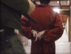 photo of a prisoner in cuffs