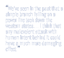 We've seen in the past that a simple branch falling on a power line took down the western states. ... I think that any malevolent attack with human intent behind it could have a much more damaging effect.