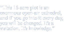 This 16-acre plot is an enormous open-air cathedral, and if you go into it every day, you will be changed. It's a visitation. It's knowledge.