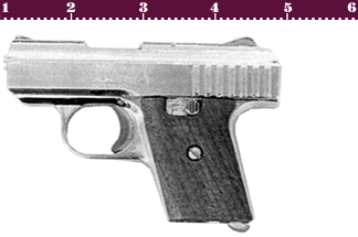 The Raven P-25 Pistol