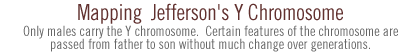 mapping jefferson's y chromosome: Only males carry the Y chromosome.  Certain features of the chromosome are passed from father to son without much change over generations.