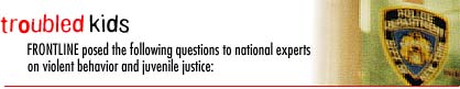 The following questions were posed to national experts on violent behavior and juvenile justice: