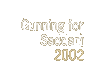 gunning for saddam (2002)