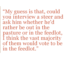 My guess is that, could you interview a steer and ask him whether he'd rather be out in the pasture or in the feedlot, I think the vast majority of them would vote to be in the feedlot.