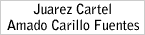 Juarez Cartel