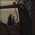 photo of barbed wire, old defense site