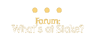 forum: what's at stake?