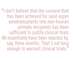 I don't believe that the survival that has been achieved for solid organ xenotransplants into non-human primate recipients has been sufficient to justify clinical trials. All  essentially have been rejected by, say, three months. That's not long enough to