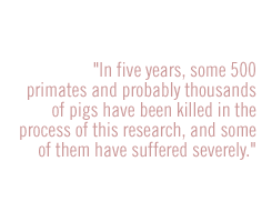 In five years, some 500 primates and probably thousands of pigs have been killed in the process of this research, and some of them have suffered severely