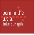 porn in the u.s.a