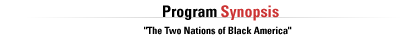 Synopsis: The Two Nations of Black America