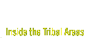 inside the tribal areas