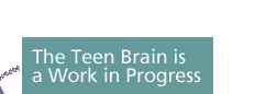 The Teen Brain is a Work in Progress 