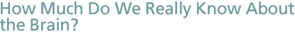 How Much Do We <i />Really</i> Know About the Brain?