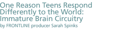 One Reason Teens Respond Differently to the World: Immature Brain Circuitry by FRONTLINE producer Sarah Spinks