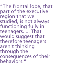 The frontal lobe, that part of the executive region that we studied, is not always functioning fully in teenagers. That would suggest that therefore teenagers aren't thinking through the consequences of their behaviors 