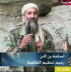 bin laden on television