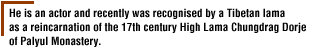 He is an actor and recently was recognised by a Tibetan lama as a reincarnation of the 17th century High Lama Chungdrag Dorje of Palyul Monastery. 
