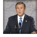 photo of bush