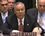 powell at the u.n.