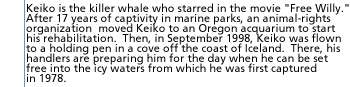 Keiko is the killer whale who starred in the movie Free Willy. After 17 years  of captivity in marine parks, he's now the focus of a $15 million, worldwide  rehabilitation effort to prepare him to be released into the wild.