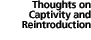 Thoughts on Captivity and Reintroduction