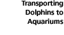 Transporting Dolphins to Aquariums