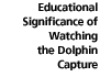 Educational Significance of Watching the Dolphin Capture