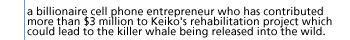 a billionaire cell phone entrepreneur who has contributed more than $3 million to Keiko's rehabilitation project which could lead to the killer whale being released into the wild.