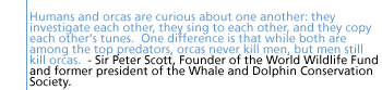 Humans and orcas are curious about one another: they investigate each other, they sing to each other, and they copy each other's tunes.  One difference is that while both are among the top predators, orcas never kill men, but men still kill orcas.- Sir Peter Scott, Founder of the World Wildlife Fund and former president of the Whale and Dolphin Conservation Society.