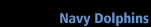 NAVY DOLPHINS