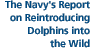 The Navy's Report on Reintroducing  Dolphins into the Wild