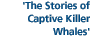 'The Stories of Captive Killer Whales'