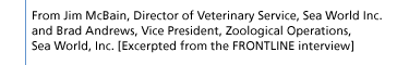 From Jim McBain, Director of Veterinary Service, Sea World Inc. and Brad Andrews, Vice President, Zoological Operations, Sea World, Inc. [Excerpted from the FRONTLINE interview]