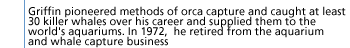 Griffin pioneered methods of orca capture and caught at least 30 killer whales over his career and supplied them to the world's aquariums. In 1972,  he retired from the aquarium and whale capture business