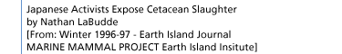 Japanese Activists Expose Cetacean Slaughter by Nathan LaBudde [From: Winter 1996-97 - Earth Island JournalMARINE MAMMAL PROJECT Earth Island Insitute]