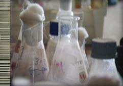 photo of beakers