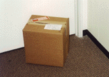 Picture of package