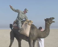 Spc. Bryan Hamlin finds a camel in Kuwait - and tries to hitch a ride home.